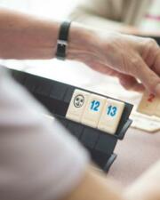 Ferm - Rummikub